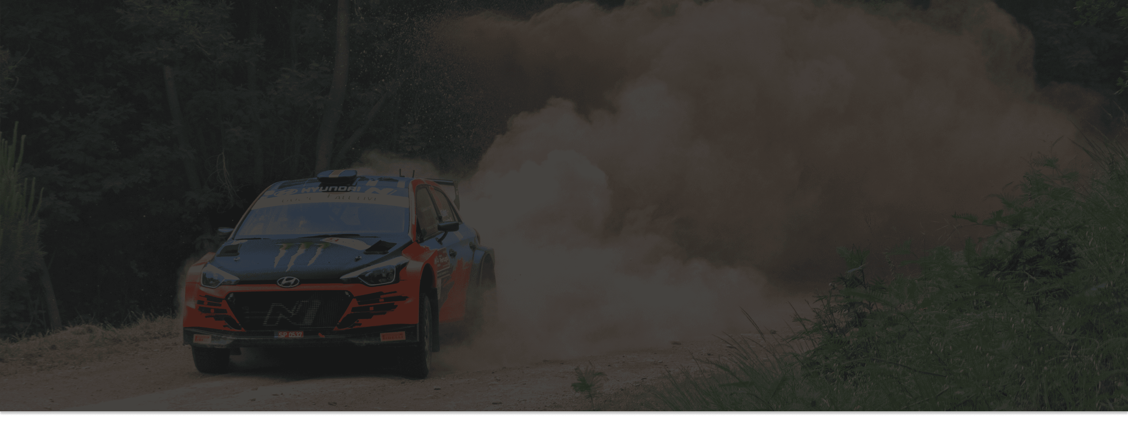 Rally Banner