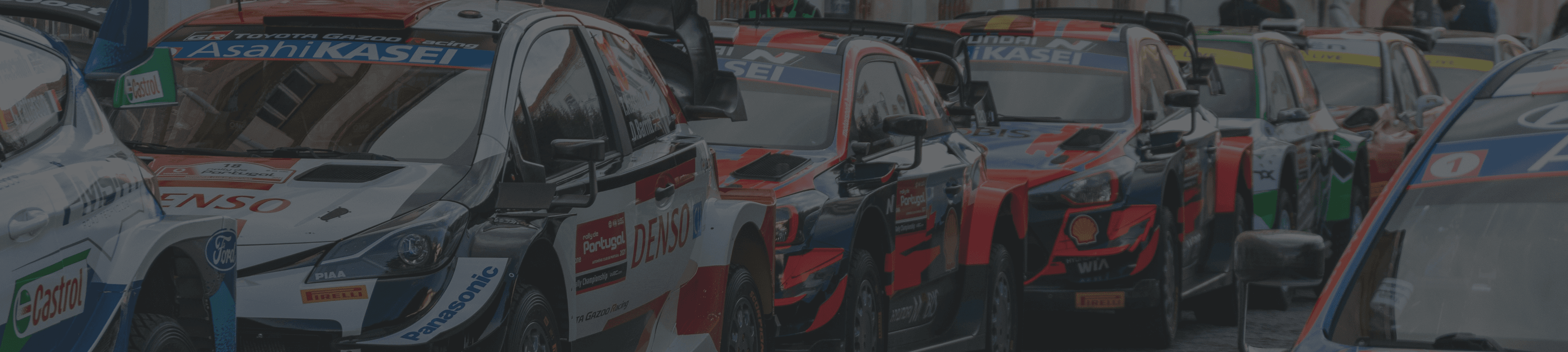 Rally Banner
