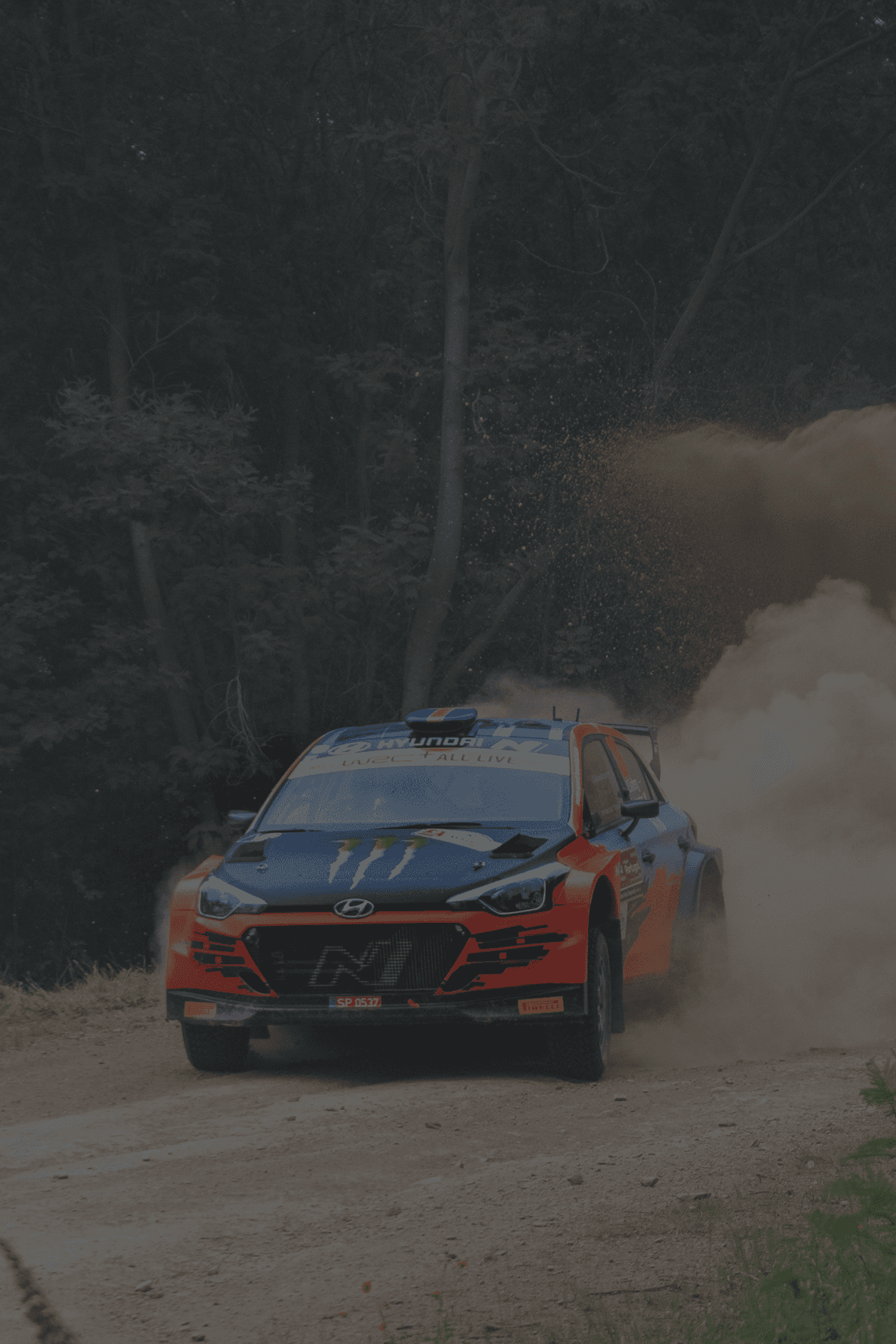 Rally Banner